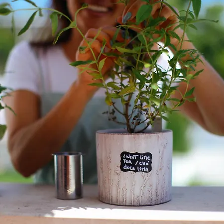 Moinho Do Duque Alojamento de Turismo Rural Runa