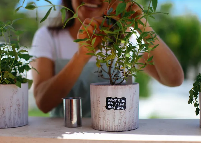 Moinho Do Duque Lantgård Runa